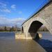20090208_provencetrip_16_avingnon_pont_s